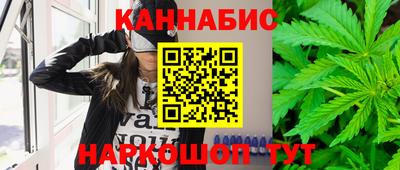 ешки Гай