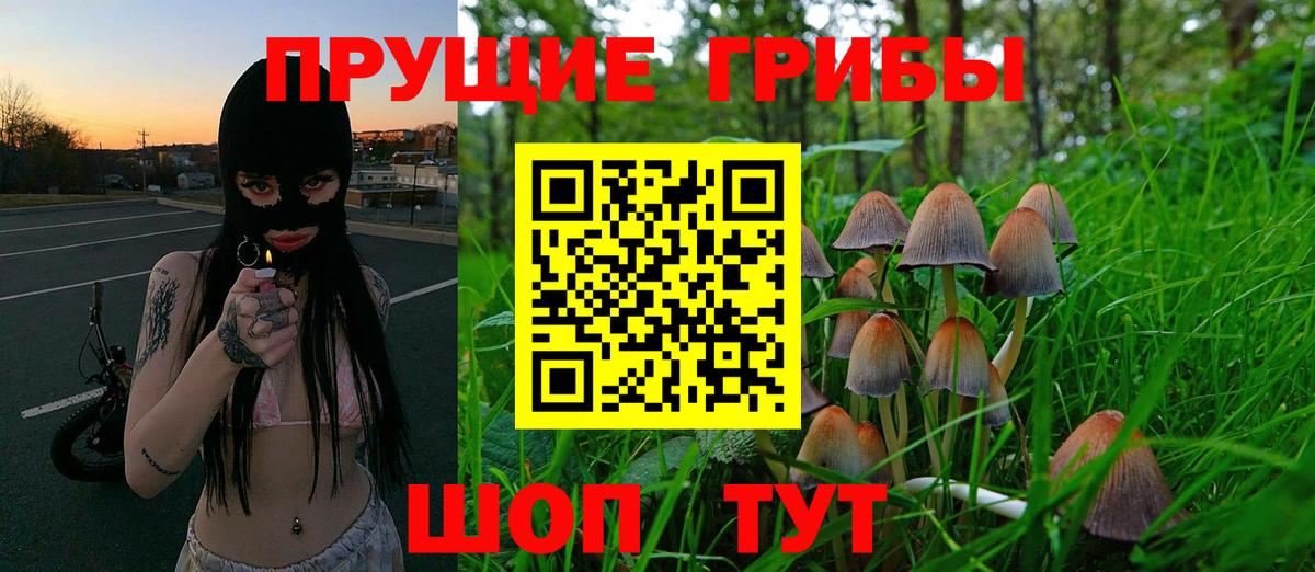Галлюциногенные грибы GOLDEN TEACHER  Вход с VPN  Вологда 