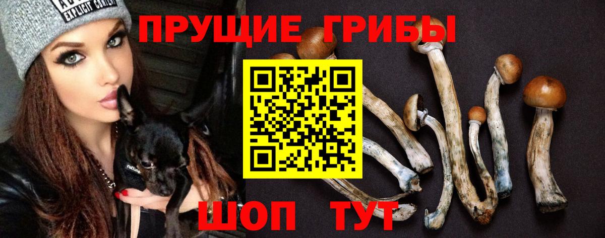 Псилоцибиновые грибы Psilocybine cubensis Вологда